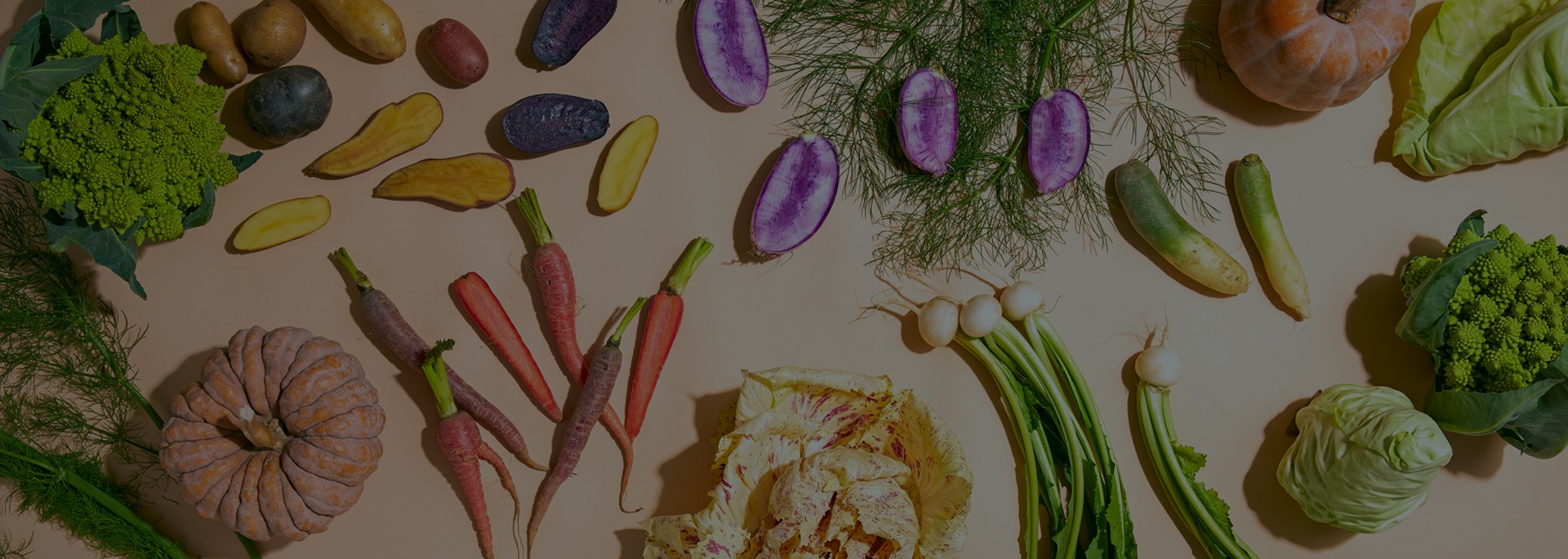 Lobortis dictum mi liquam euon first